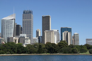 城市天际线与河畔景观