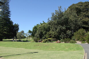 绿意盎然的户外休闲场景