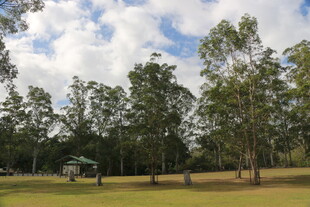 户外树林草地休闲场景