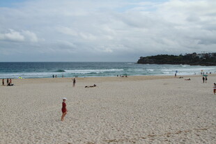 热闹的海滩景象