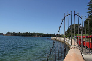 海滨护栏旁的秀丽风光