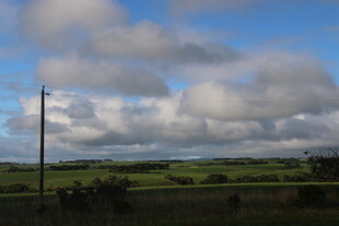 田野上的蓝天白云风景
