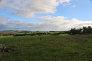 广袤绿野与蓝天白云景观