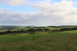 广袤草原与蓝天白云美景
