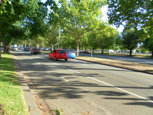 城市林荫道上的红色汽车