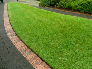 整洁的庭院草坪景观