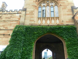 爬满绿植的古老建筑拱门