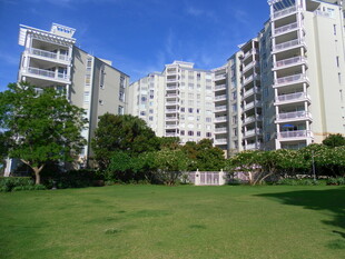 现代小区的开阔绿地景观