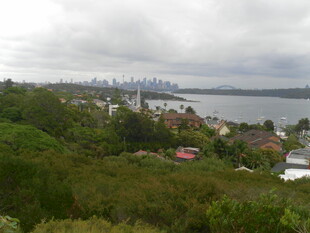 俯瞰城市与水域景观