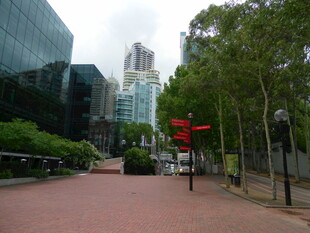 城市中绿树环绕的红砖步道