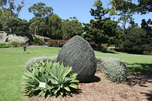 花园中的巨石与绿植