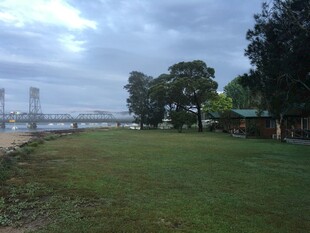 河畔草地与远处桥梁风景