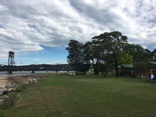户外开阔草地与树木景观