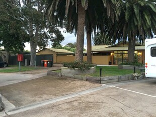 户外开阔场地与棕榈树景观