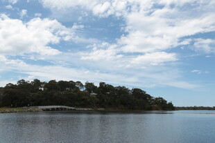 湖畔绿树蓝天美景