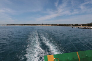 乘船赏景碧波上