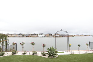 海滨绿植景观 宁静美好