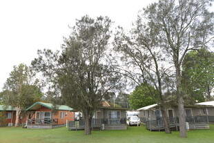 乡村绿意环绕的小屋群落