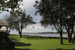 海滨草地旁的静谧景致