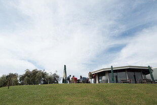 户外草地旁的现代建筑景观