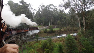 森林中行驶的复古蒸汽火车
