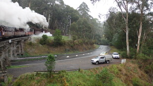 公路旁火车驶过的风景