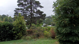 绿意盎然的户外自然景致