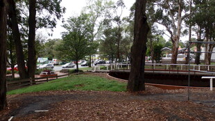 公园林荫下的停车场景