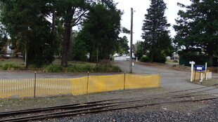 户外黄围栏旁的绿树场景