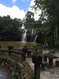 森林中的美丽瀑布景观