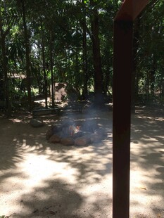 林间光影斑驳的幽静小道