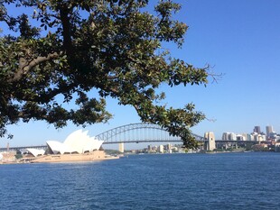 悉尼歌剧院与海港大桥景观