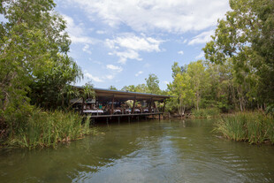 河畔木屋 自然静谧风光