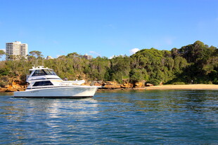 海上游艇 岸边绿树蓝天