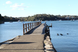 湖畔栈桥 一人静赏湖景