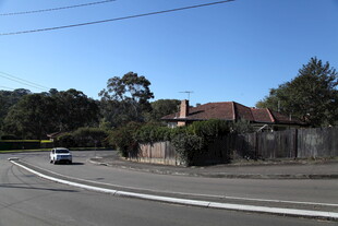 乡村公路旁的住宅景象