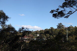 蓝天绿树间的自然景致