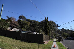 乡村小路旁的自然景致