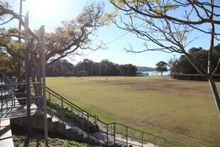 户外开阔草地与树木景观