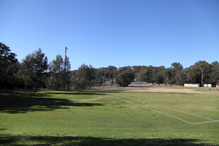 开阔绿茵场地与蓝天树木