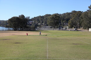 户外草地运动场景