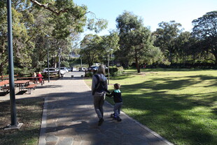 公园中漫步的行人