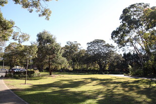 阳光照耀下的静谧公园