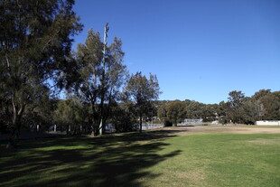 户外开阔草地与树木景观