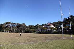 户外开阔草地运动场景