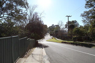 阳光照耀下的林间道路