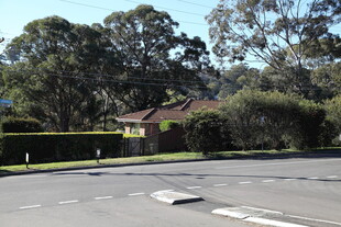 住宅区旁的道路与绿树