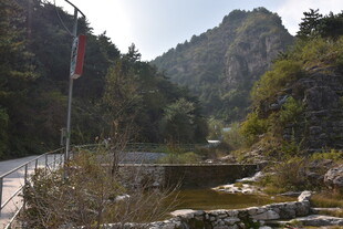 山间公路旁的秀丽自然景致