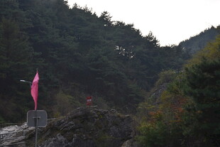 山间飘扬的粉色旗帜