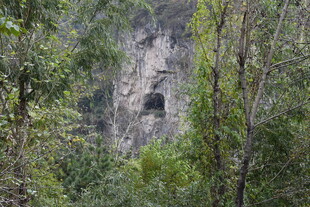 山林间的神秘洞穴景观